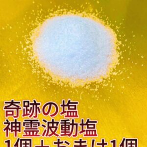 【龍神様の波動】お清め波動塩　「神霊波動塩」一袋+オマケ一袋 厄除け 浄化 盛り塩 霊障 除霊 お祓い 金運